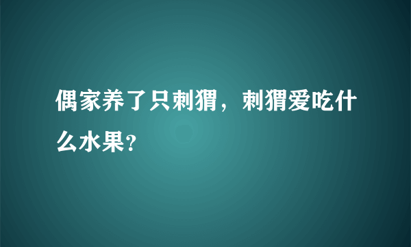 偶家养了只刺猬，刺猬爱吃什么水果？