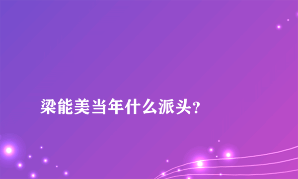 
梁能美当年什么派头？

