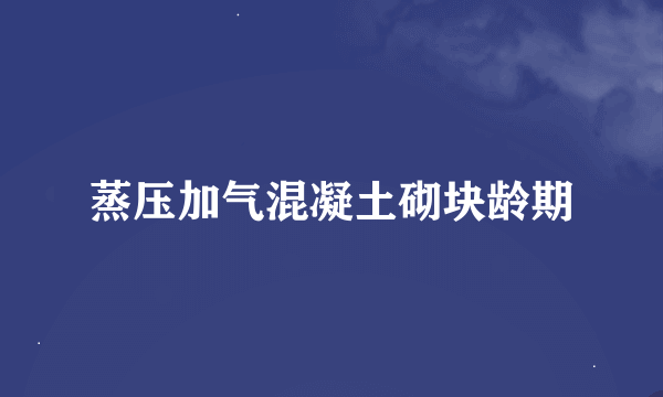 蒸压加气混凝土砌块龄期