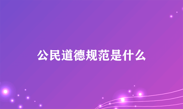 公民道德规范是什么