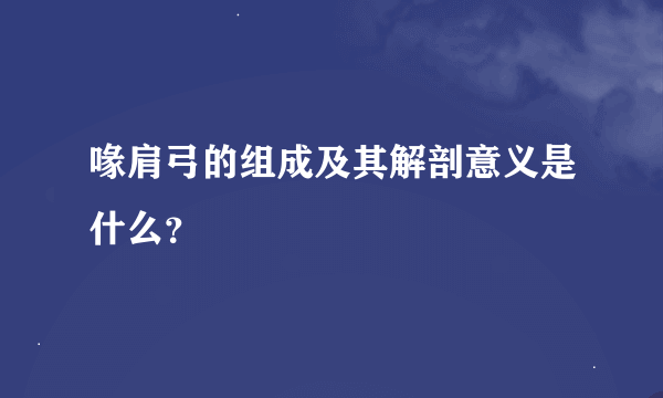 喙肩弓的组成及其解剖意义是什么？