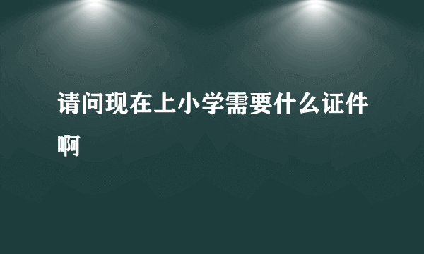 请问现在上小学需要什么证件啊