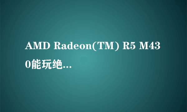 AMD Radeon(TM) R5 M430能玩绝地求生大逃杀吗????