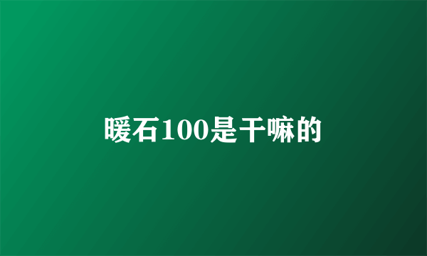 暖石100是干嘛的