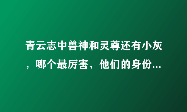 青云志中兽神和灵尊还有小灰，哪个最厉害，他们的身份，特别是小灰，