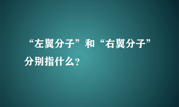 “左翼分子”和“右翼分子”分别指什么？