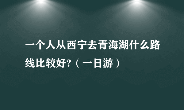 一个人从西宁去青海湖什么路线比较好?（一日游）