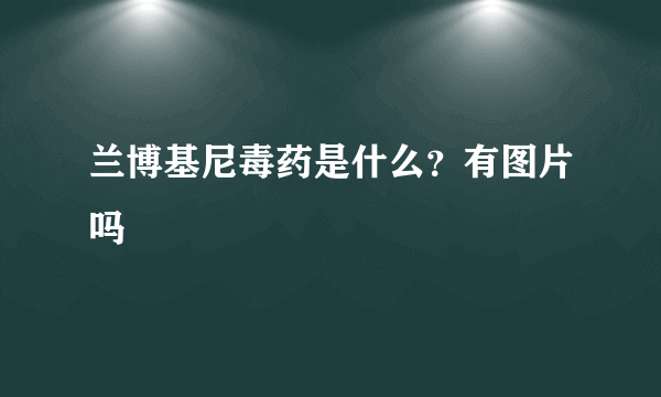 兰博基尼毒药是什么？有图片吗