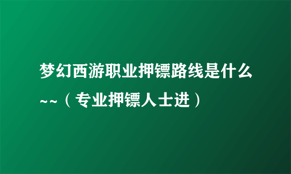 梦幻西游职业押镖路线是什么~~（专业押镖人士进）