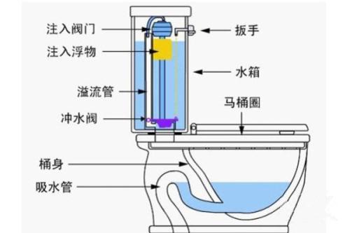 坐便器结构图