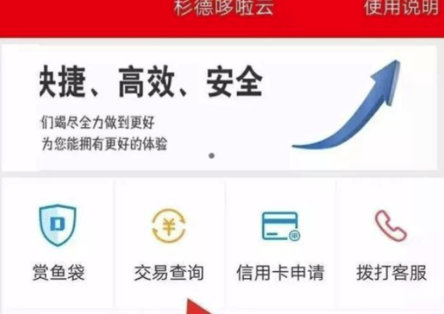 杉德万通卡面值查询