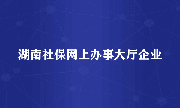 湖南社保网上办事大厅企业