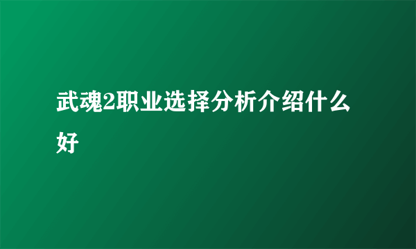 武魂2职业选择分析介绍什么好