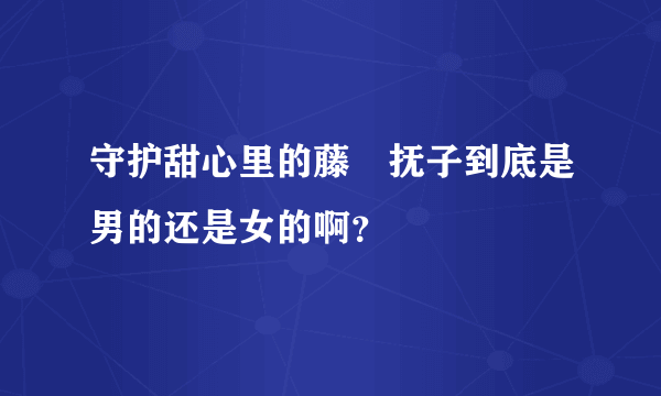 守护甜心里的藤咲抚子到底是男的还是女的啊？