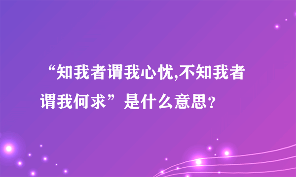 “知我者谓我心忧,不知我者谓我何求”是什么意思？