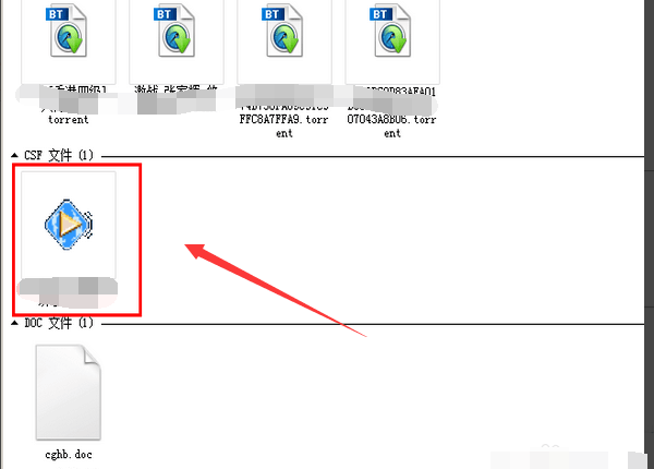 csf文件是什么文件啊，怎样才能够播放出来