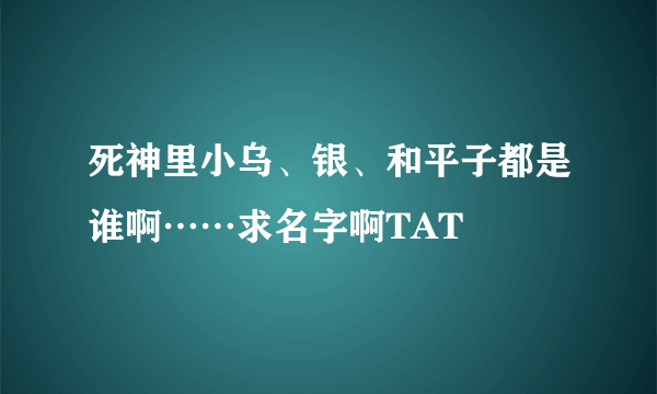 死神里小乌、银、和平子都是谁啊……求名字啊TAT