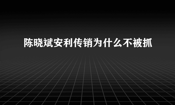 陈晓斌安利传销为什么不被抓