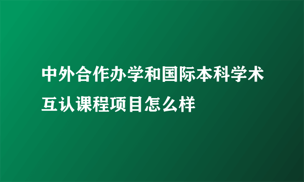 中外合作办学和国际本科学术互认课程项目怎么样