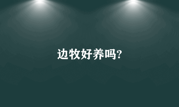 边牧好养吗?