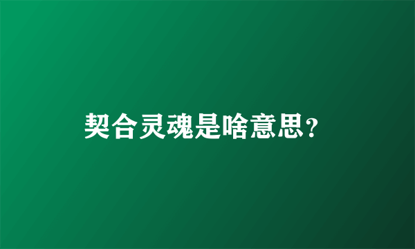 契合灵魂是啥意思？