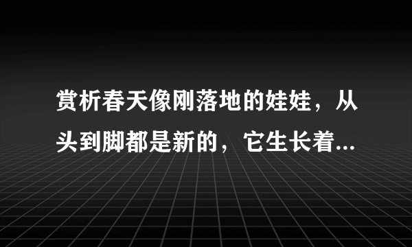 赏析春天像刚落地的娃娃，从头到脚都是新的，它生长着。 春天像小姑娘，花枝招展的，笑着，走着。这句子