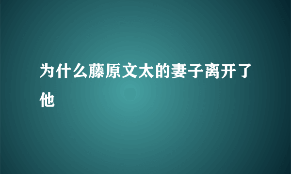 为什么藤原文太的妻子离开了他