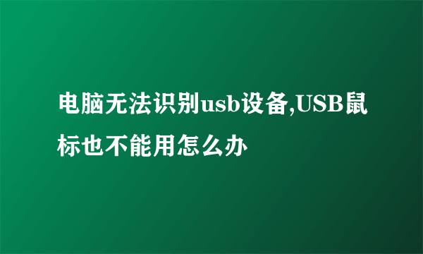 电脑无法识别usb设备,USB鼠标也不能用怎么办