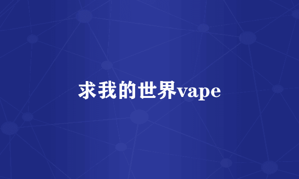 求我的世界vape