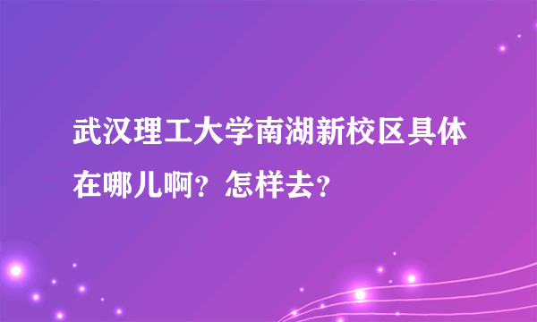 武汉理工大学南湖新校区具体在哪儿啊？怎样去？