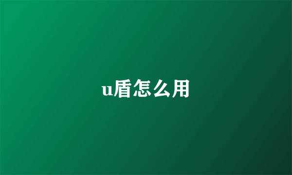 u盾怎么用