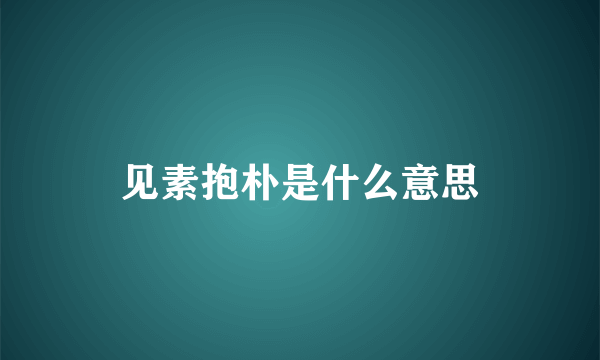 见素抱朴是什么意思