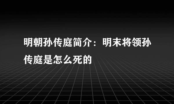 明朝孙传庭简介：明末将领孙传庭是怎么死的