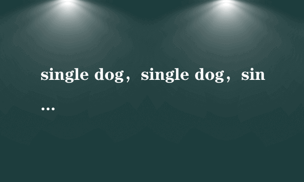 single dog，single dog，single all the day.see av，什么意思