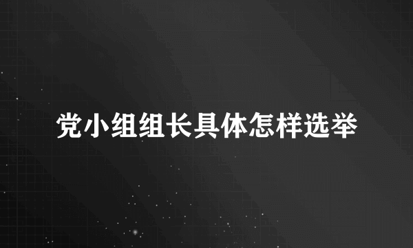 党小组组长具体怎样选举