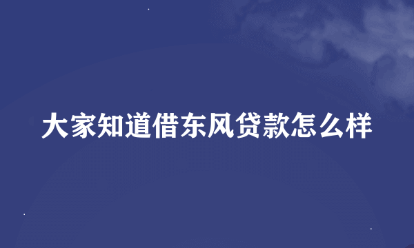 大家知道借东风贷款怎么样