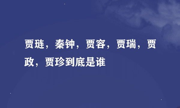 贾琏，秦钟，贾容，贾瑞，贾政，贾珍到底是谁