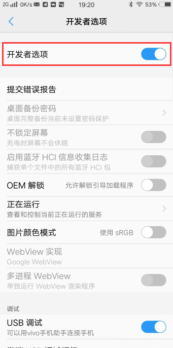 vivo开发者选项在哪