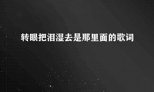 转眼把泪湿去是那里面的歌词