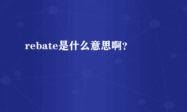 rebate是什么意思啊？