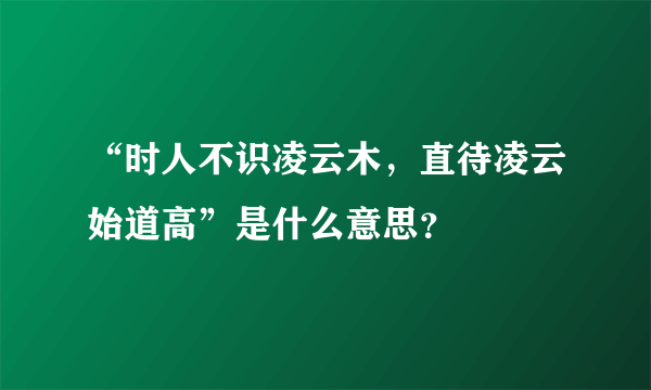 “时人不识凌云木，直待凌云始道高”是什么意思？