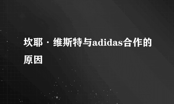 坎耶·维斯特与adidas合作的原因