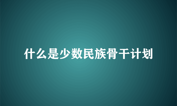 什么是少数民族骨干计划