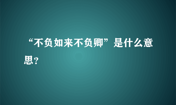 “不负如来不负卿”是什么意思？