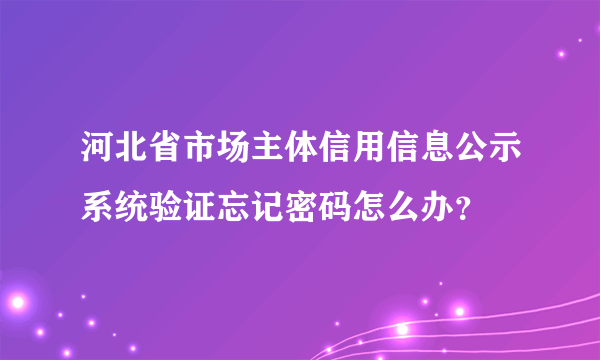 河北省市场主体信用信息公示系统验证忘记密码怎么办？