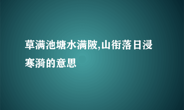 草满池塘水满陂,山衔落日浸寒漪的意思