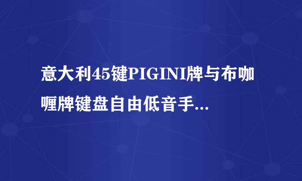 意大利45键PIGINI牌与布咖喱牌键盘自由低音手风琴哪个更好