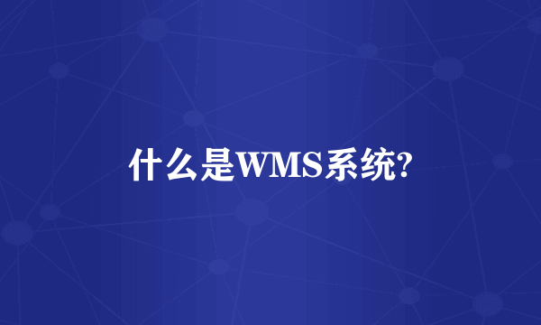 什么是WMS系统?