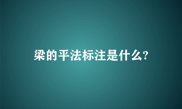 梁的平法标注是什么?