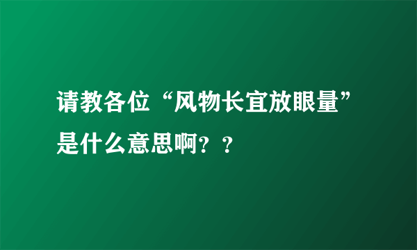 请教各位“风物长宜放眼量”是什么意思啊？？